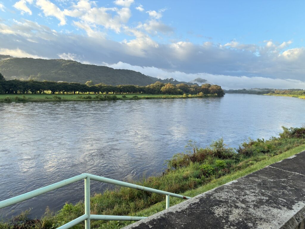 朝散歩で歩く川沿いの道